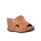 093S 20539 Camel1_1-1